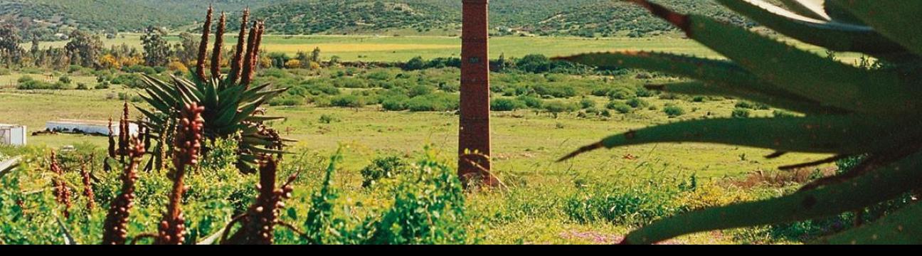 Despatch - Eastern Cape