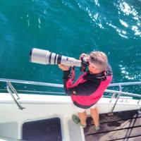 Hermanus Whales