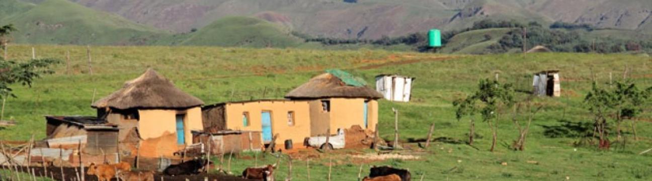 Flagstaff - Eastern Cape News and information
