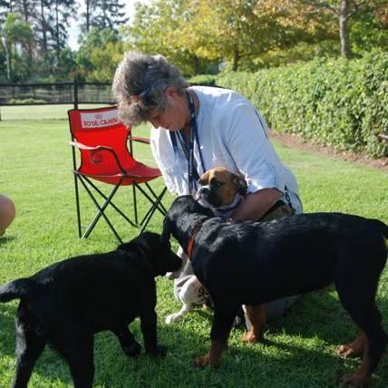 Winelands Dog Training