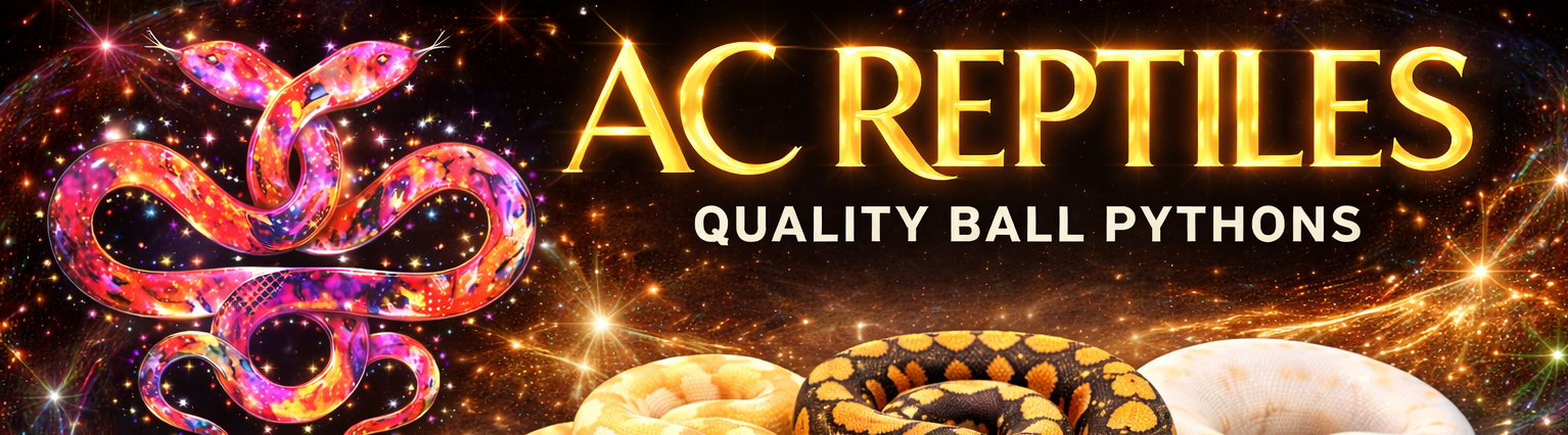 AC Reptiles