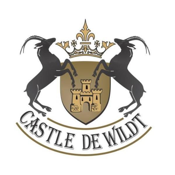 Castle de Wildt
